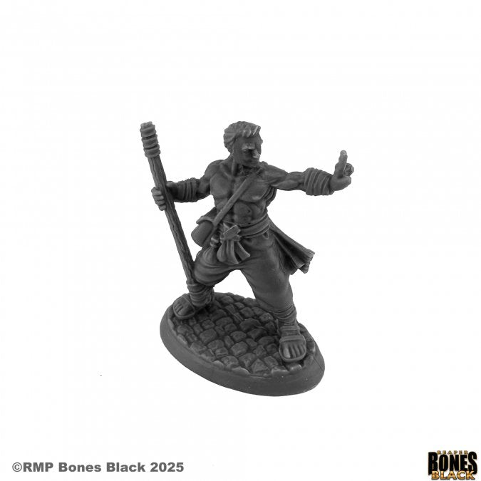 Jakob Human Monk
