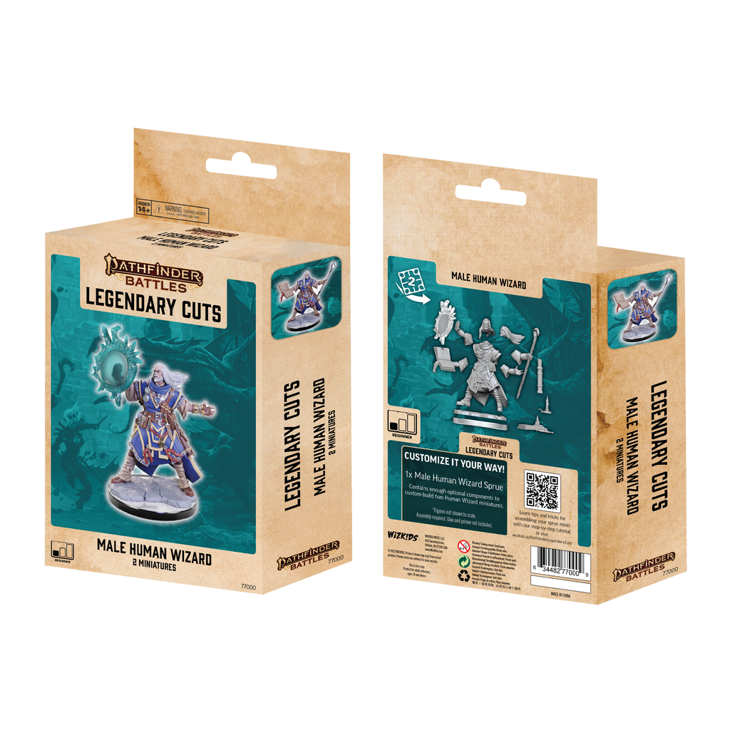 Pathfinder Legendary Cuts Male Human Wizard
