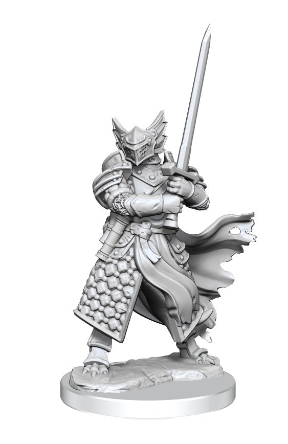 D&D Frameworks Unpainted Dragonborn Paladin Male