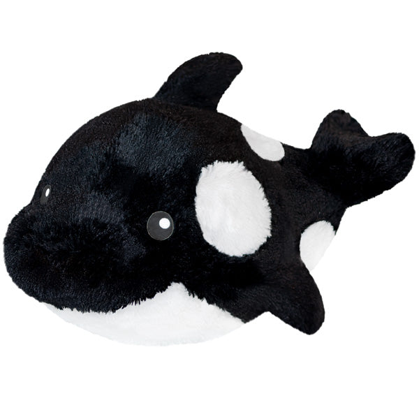 Mini Squishable Orca