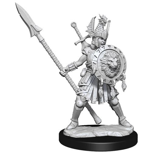 D&D Frameworks Unpainted Human Fighter Female
