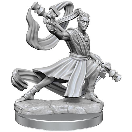 D&D Frameworks Unpainted Elf Monk Male