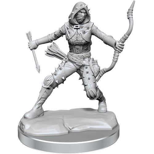 D&D Frameworks Unpainted Human Rogue Female