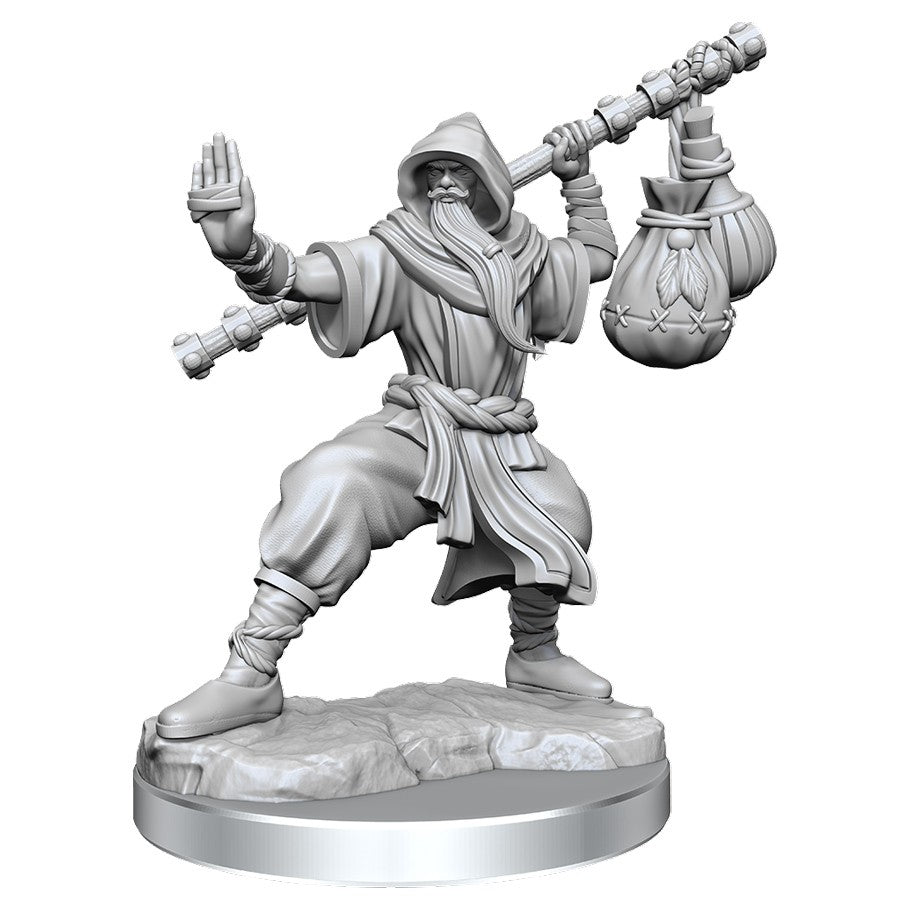 D&D Frameworks Unpainted Human Monk Male