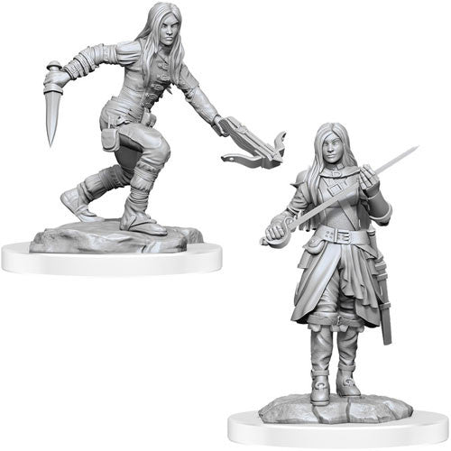D&D Unpainted W17 Half-Elf Rogue Female